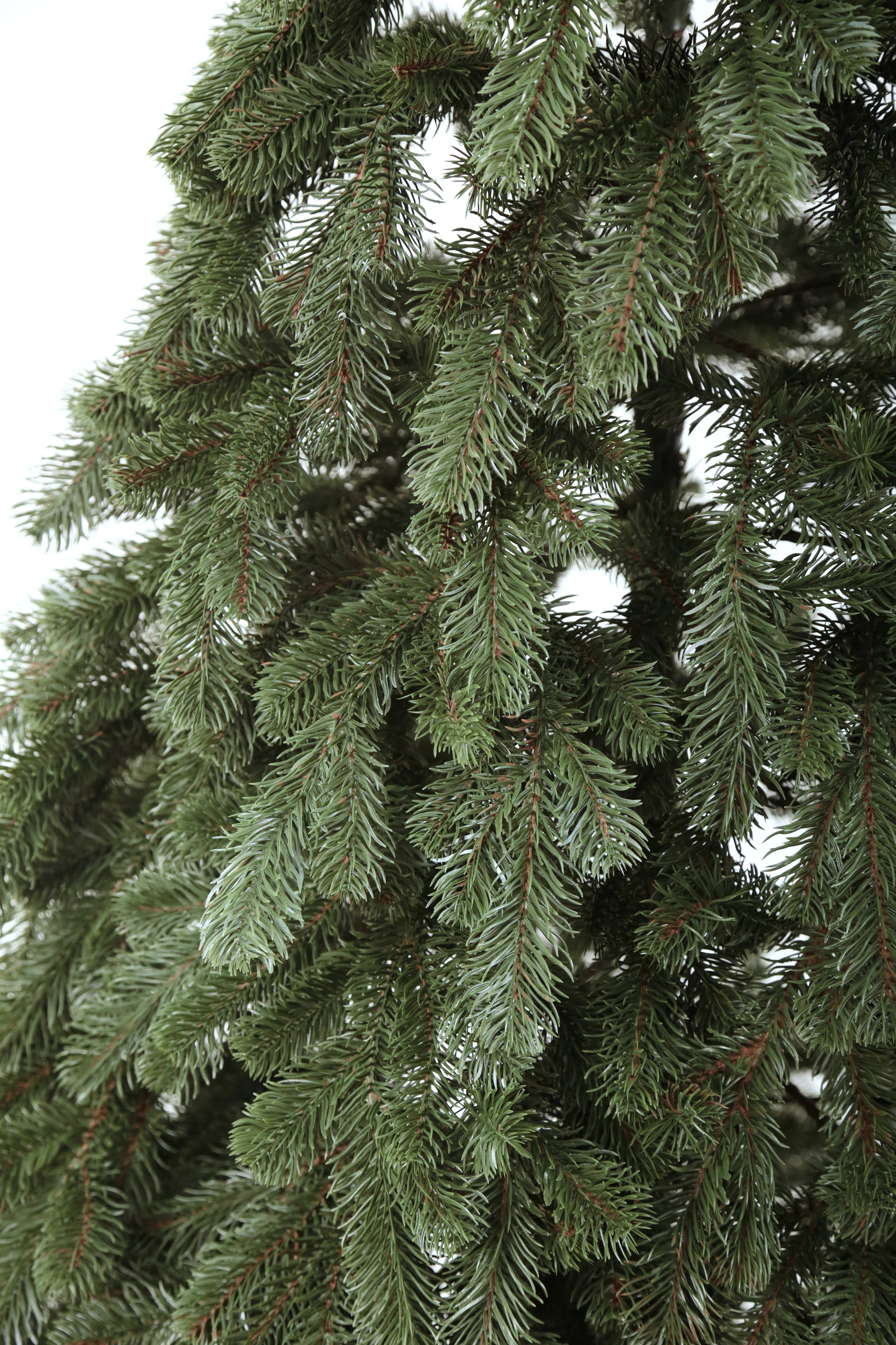 Royal Artificial Green Christmas Tree 6-7.5 ft Metal Stand Realistic Holiday Home Decoration