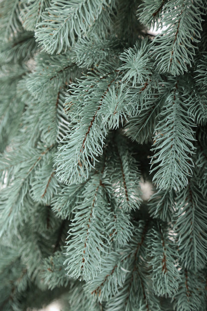 Royal Artificial Blue Christmas Tree 6-7 ft Metal Stand Realistic Holiday Home Decoration