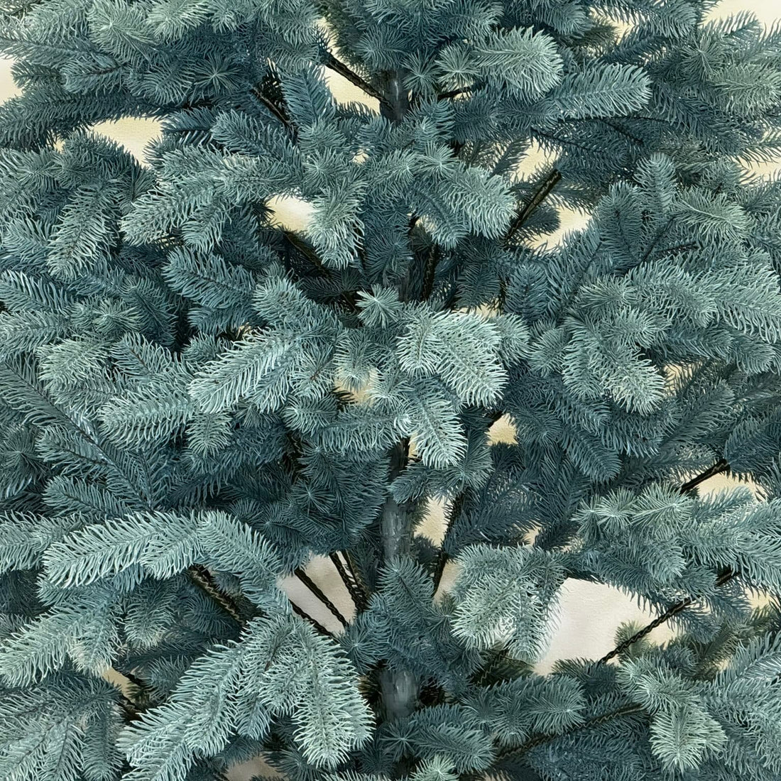 Royal Christmas Tree Tiffany Blue